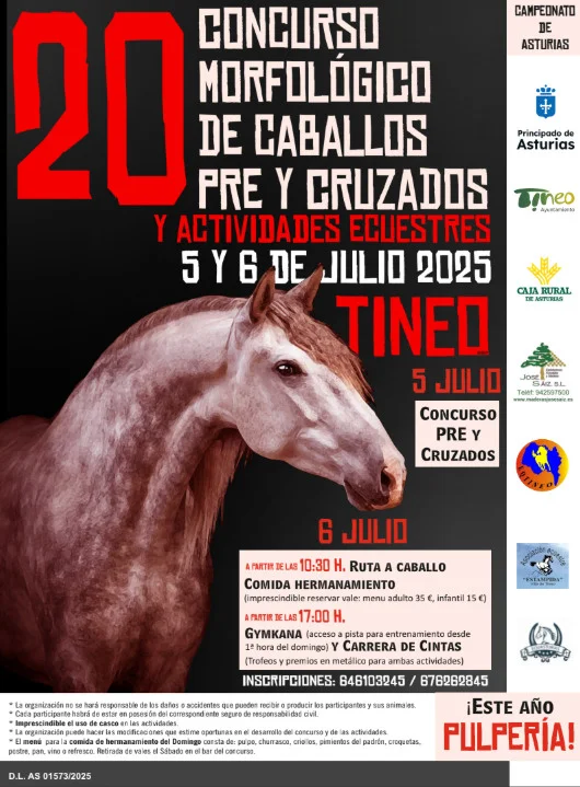 XX Concurso Morfológico de Caballos de Pura Raza Española y Cruzados en Tineo