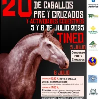 XX Concurso Morfológico de Caballos de Pura Raza Española y Cruzados en Tineo