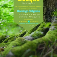 Baño de Bosque Shinrinyoku en Ortiguera