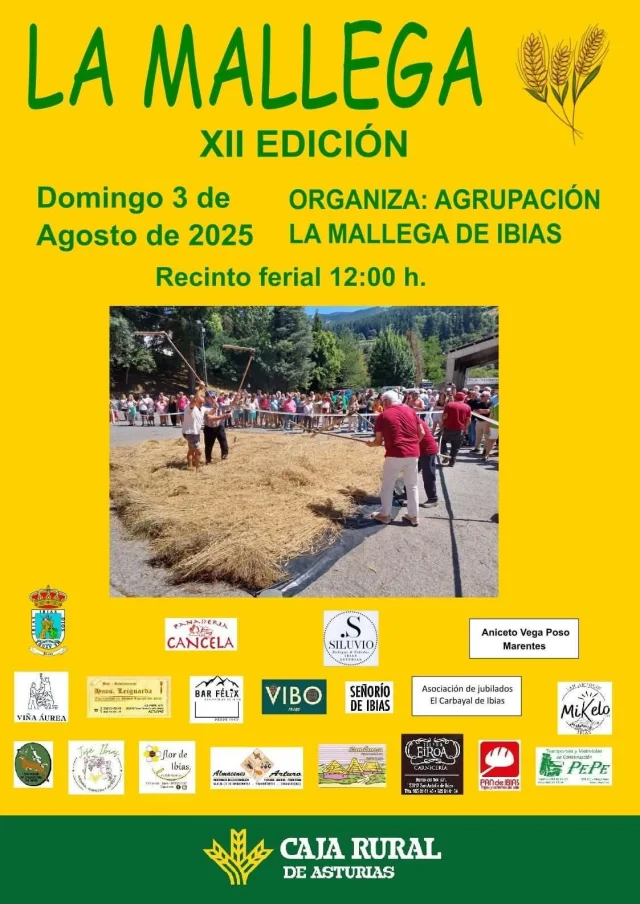 XII Mallega en San Antolín de Ibias 2025
