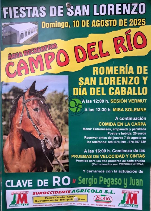 Fiestas de San Lorenzo 2025 en Campo del Río