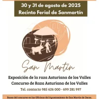 Concurso-Exposición de la Raza Asturiana de los Valles en Samartín de Oscos 2025