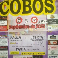 Fiestas de la Magdalena 2025 en Cobos