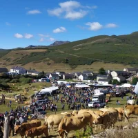 Feria ganadera de Nuestra Señora 2025 en el Puerto de Somiedo