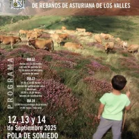 Certamen Nacional de Rebaños de Asturiana de los Valles 2025 en Pola de Somiedo