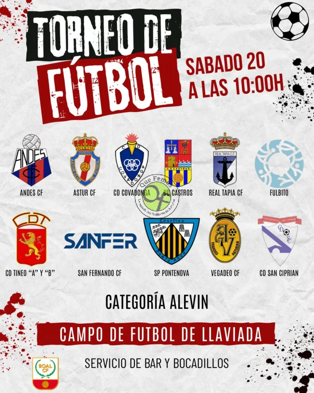 Torneo de Fútbol Alevín en Boal