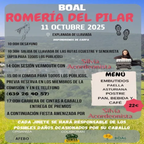 No disponemos de imagen