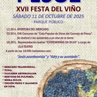 XVII Festa del Viño de Pesoz 2025