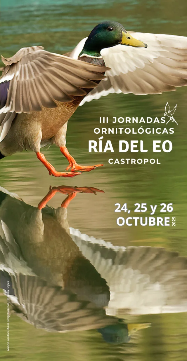 III Jornadas Ornitológicas Ría del Eo de Castropol 2025