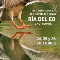 III Jornadas Ornitológicas Ría del Eo de Castropol 2025