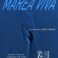 Exposición de Iyán Castaño en El Liceo de Navia