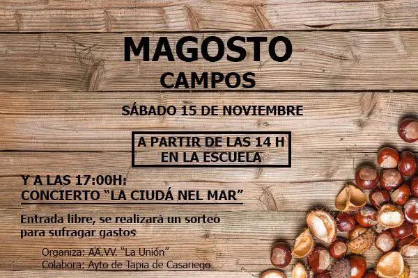 Magosto 2025 en Campos