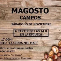 Magosto 2025 en Campos