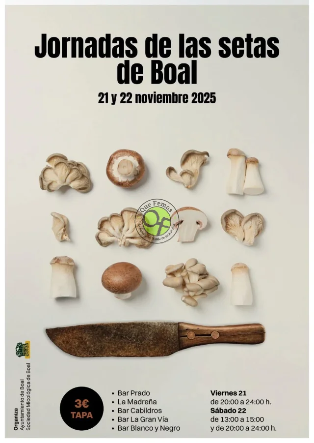 Jornadas de las Setas de Boal 2025