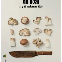 Jornadas de las Setas de Boal 2025