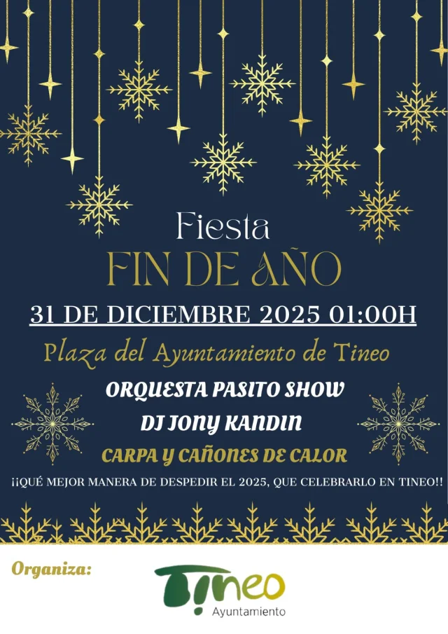 Fiesta de Fin de Año 2025 en Tineo