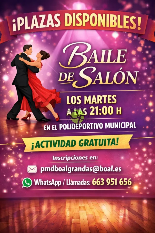 Clases de bailes de salón en Boal