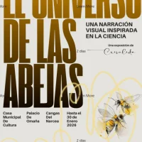 Cangas acoge la exposición 