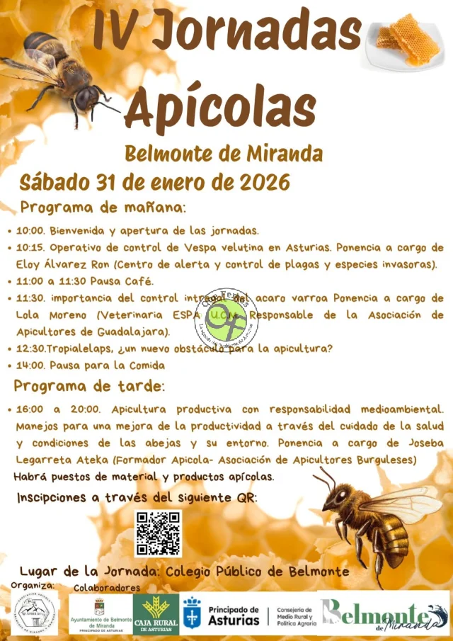 IV Jornadas Apícolas en Belmonte de Miranda 2026