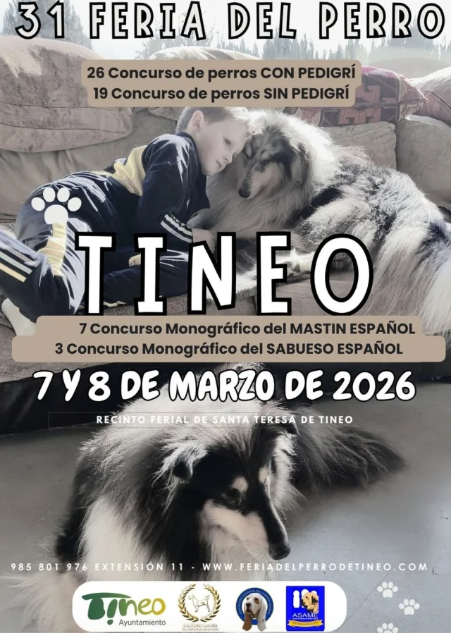 Feria del Perro de Tineo 2026, más de tres décadas de homenaje y reconocimiento a nuestros canes