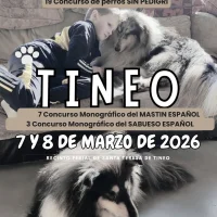 Feria del Perro de Tineo 2026, más de tres décadas de homenaje y reconocimiento a nuestros canes