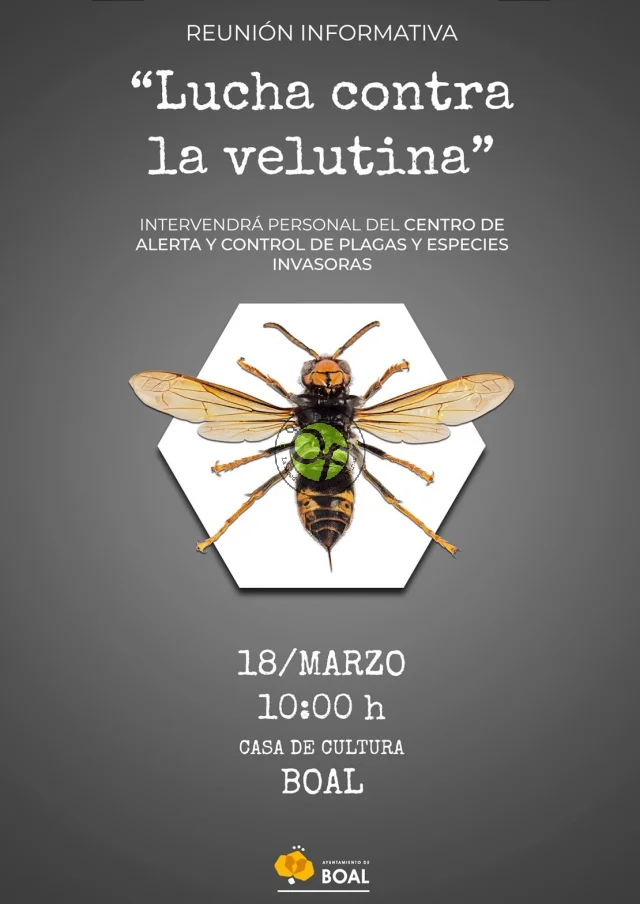 Charla informativa en Boal: 