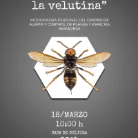 Charla informativa en Boal: 