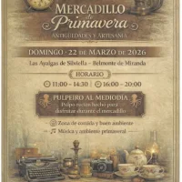 Mercadillo de Primavera en Las Ayalgas de Silviella