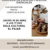 Taller sensorial de aromaterapia y creación de perfumes e inciensos naturales con plantas, especias y aceites esenciales, en A Caridá