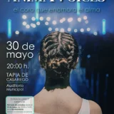 animAVoices en concierto en Tapia de Casariego
