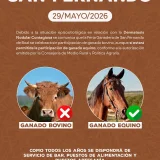 Feria Ganadera de San Fernando 2026 en Boal