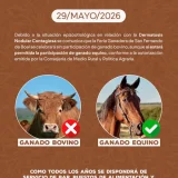 Feria Ganadera de San Fernando 2026 en Boal