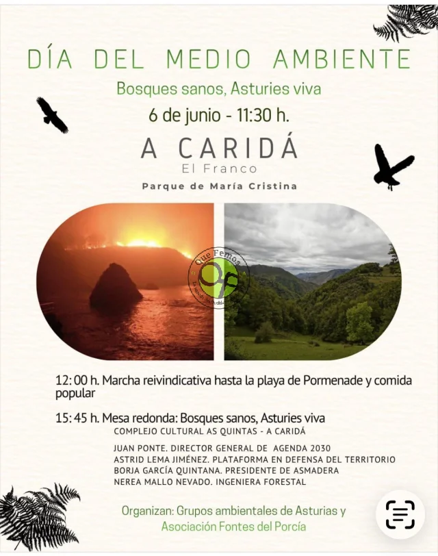 Día del Medioambiente 2026 se celebrará en A Caridá