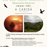 Día del Medioambiente 2026 se celebrará en A Caridá