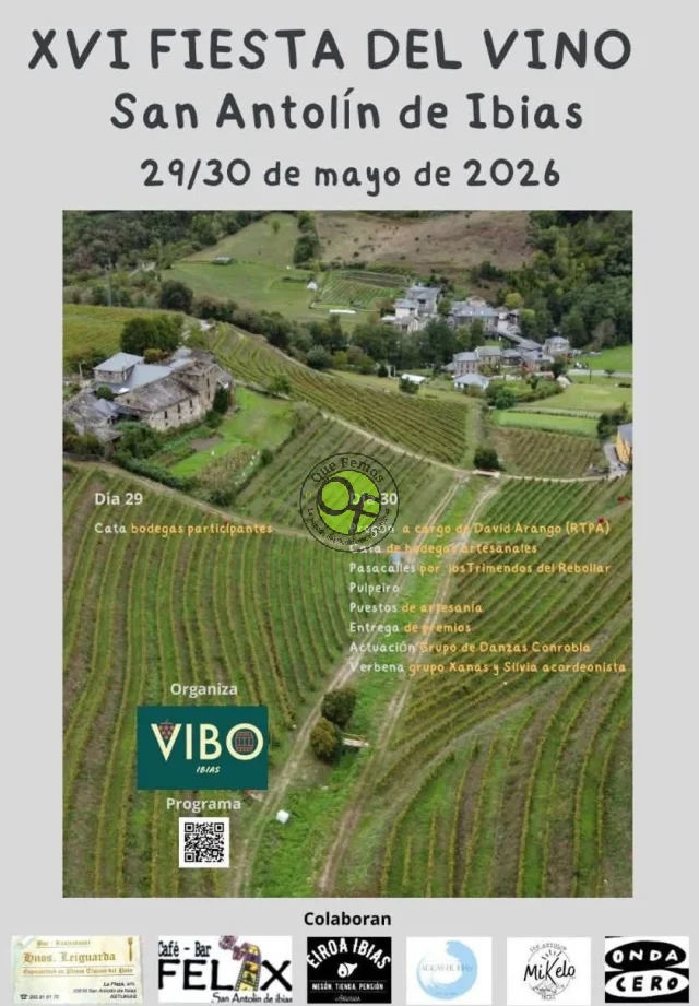 XVI Fiesta del Vino de San Antolín de Ibias 2026