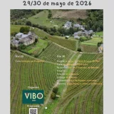 XVI Fiesta del Vino de San Antolín de Ibias 2026
