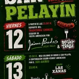 Fiestas de San Pelayín 2026 en Valdepares
