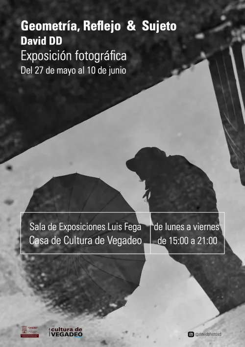 Exposición de David DD en Vegadeo