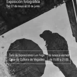 Exposición de David DD en Vegadeo