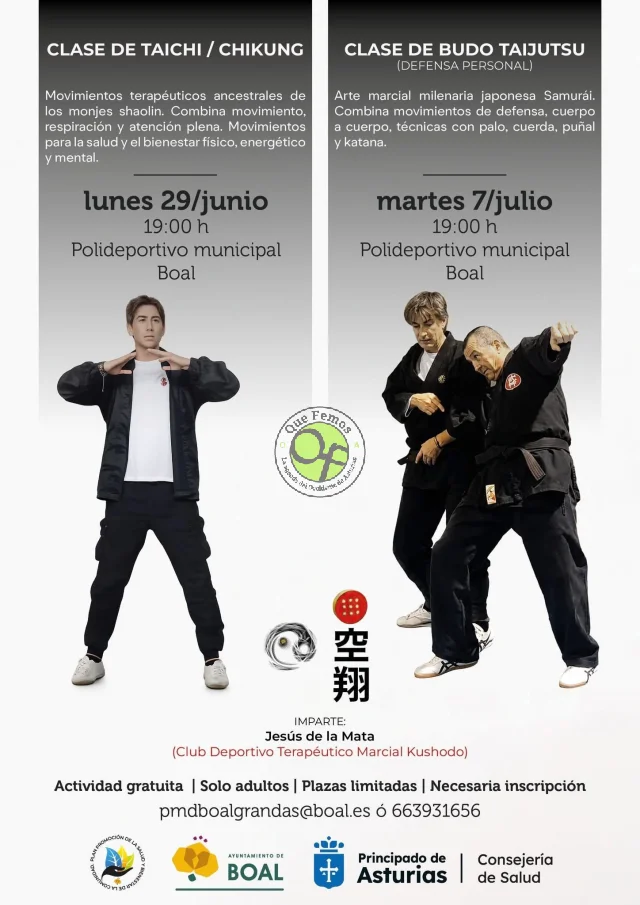 Clases de taichi/chiking y budo/taijutso en Boal