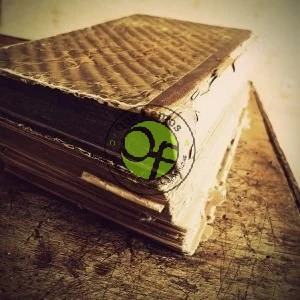 VIII Certamen de Poesía 