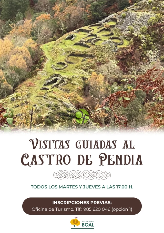 Visitas guiadas al Castro de Pendia