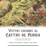 Visitas guiadas al Castro de Pendia