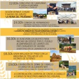 VIII Festival de la Hierba Seca y el Trigo en Almuña 2026