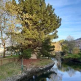 Navia proclama Reina y Damas y recibe el pregón de este año 2026