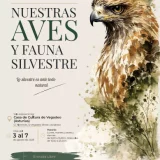 El artista Ferroy expone en Vegadeo sus acuarelas y dibujos de aves y fauna silvestre