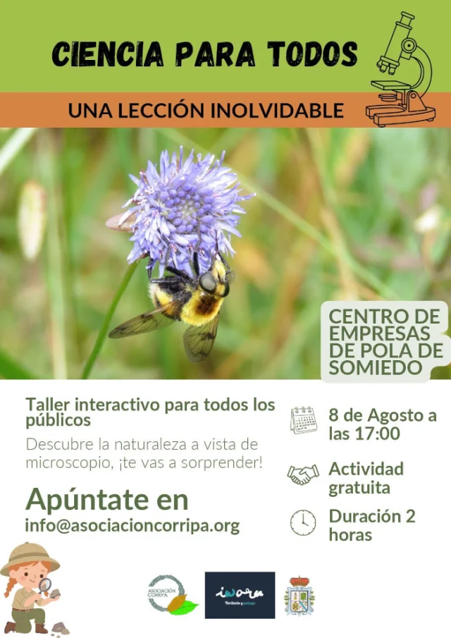 Taller interactivo en Pola de Somiedo para descubrir la naturaleza a vista de microscopio