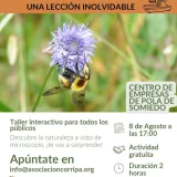 Taller interactivo en Pola de Somiedo para descubrir la naturaleza a vista de microscopio