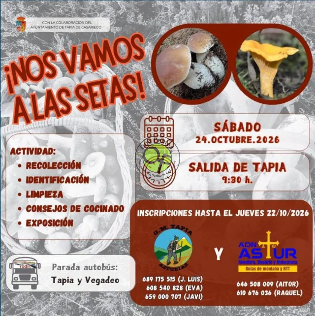 Tapia se adentra en el mundo de las setas con una nueva salida micológica