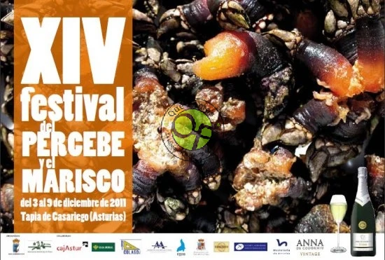 XIV Festival del Percebe y el Marisco en Tapia